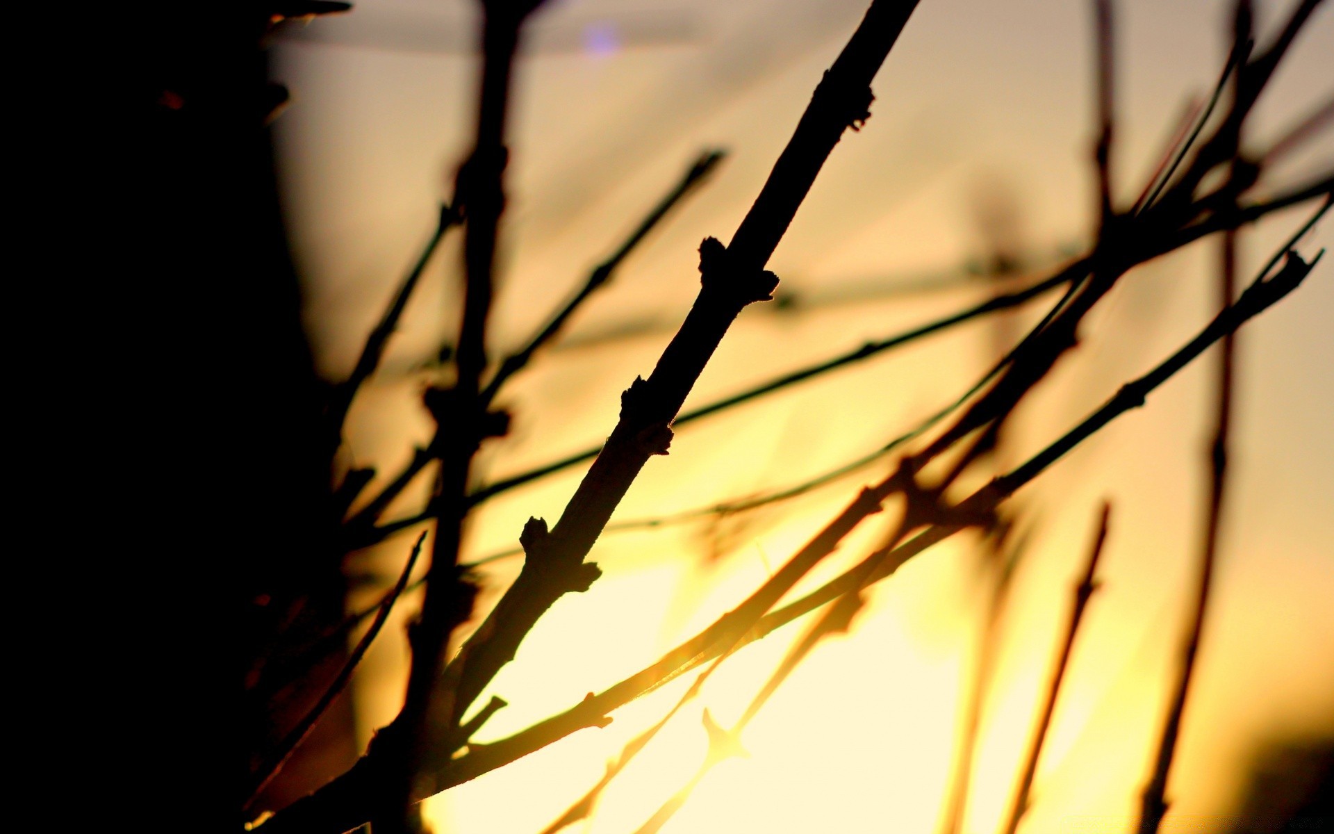 the sky sunset dawn monochrome light wire sun blur nature dof backlit