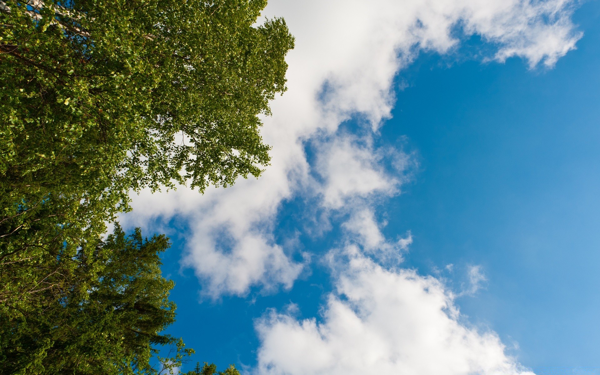 himmel natur im freien gutes wetter himmel tageslicht wetter sommer landschaft sonne hell medium idylle