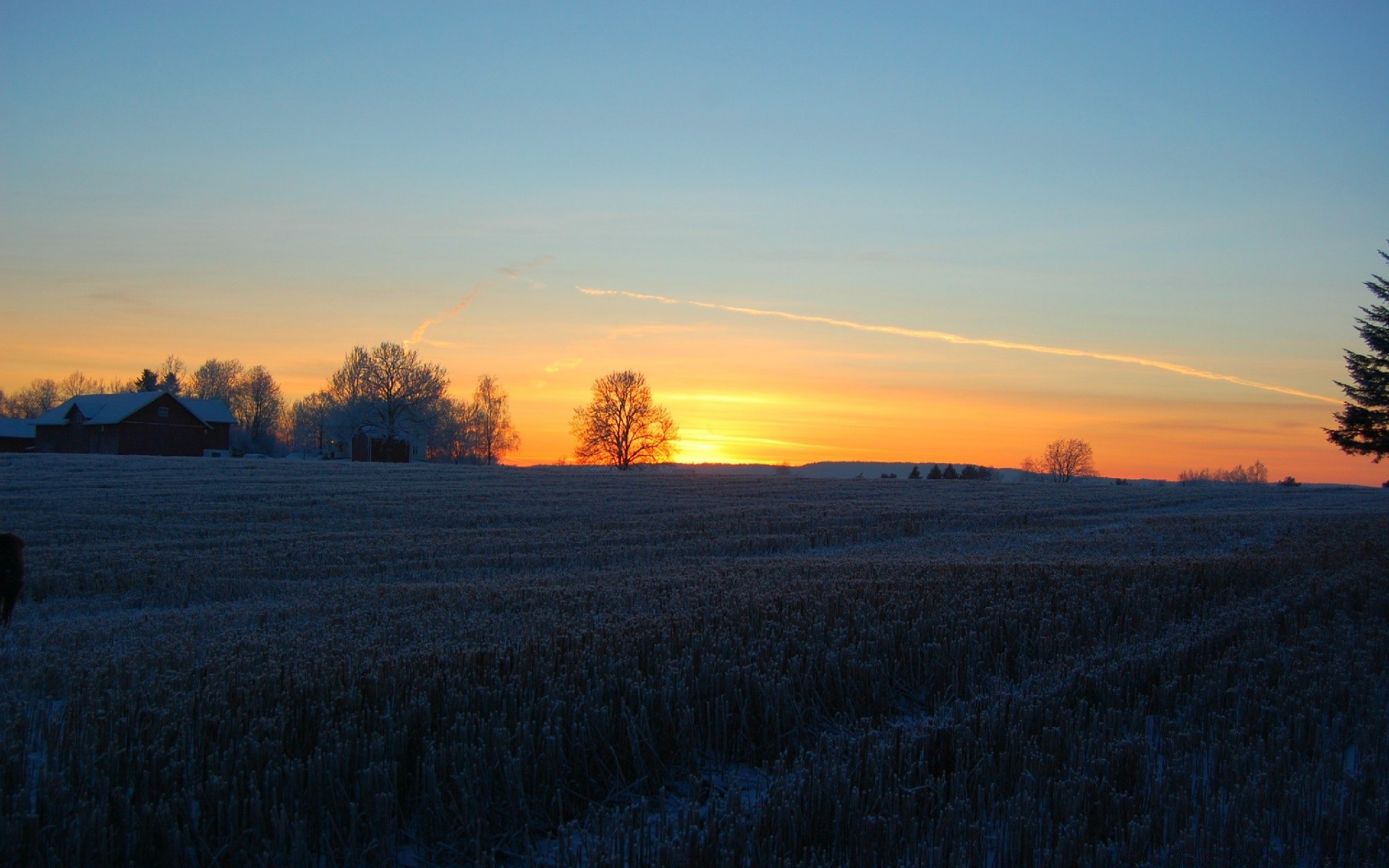 ciel paysage coucher de soleil aube soir arbre automne lumière ciel nature soleil crépuscule à l extérieur