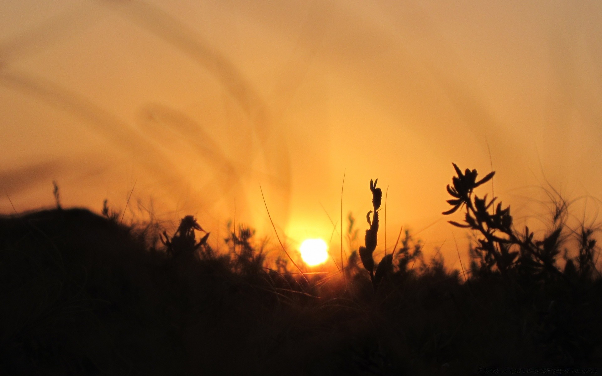 cielo tramonto alba paesaggio silhouette illuminato sole sera cielo luce crepuscolo natura legno oro bel tempo all aperto nebbia campo ambiente colore