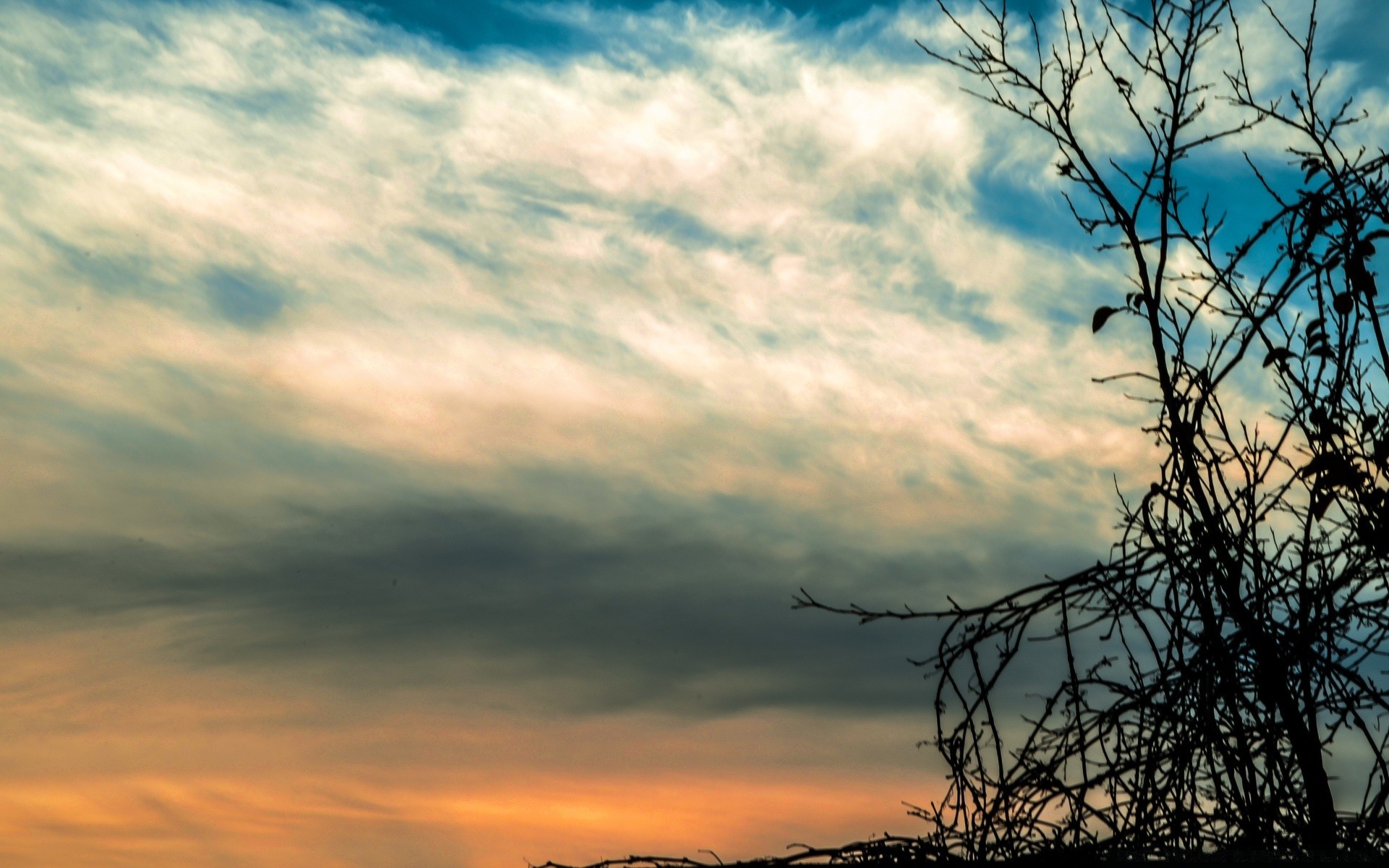 the sky sunset sky landscape nature sun dawn outdoors evening weather fair weather light dusk summer tree silhouette