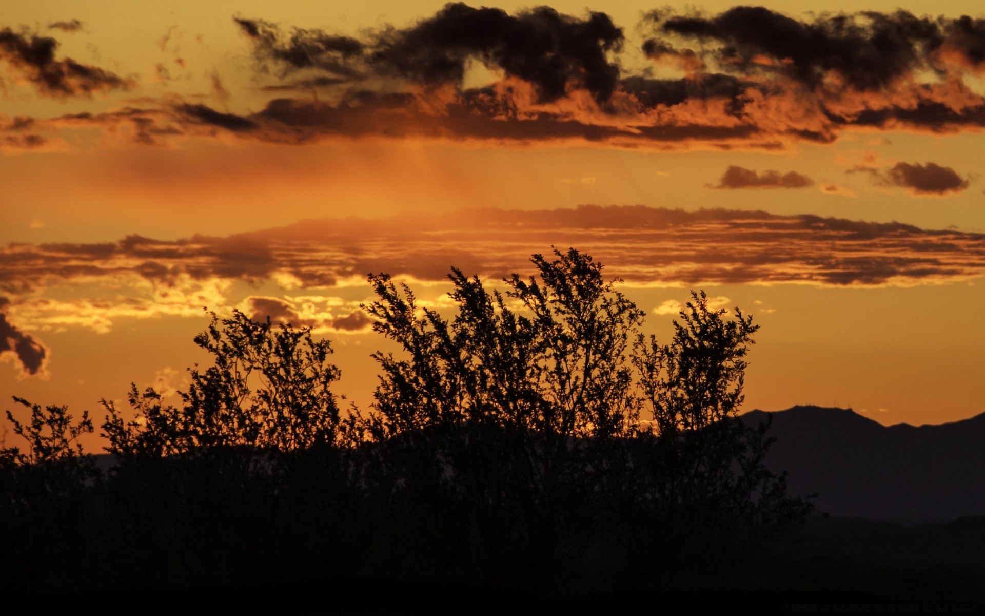 the sky sunset dawn evening silhouette landscape backlit tree dusk sky sun nature light outdoors fair weather mountain