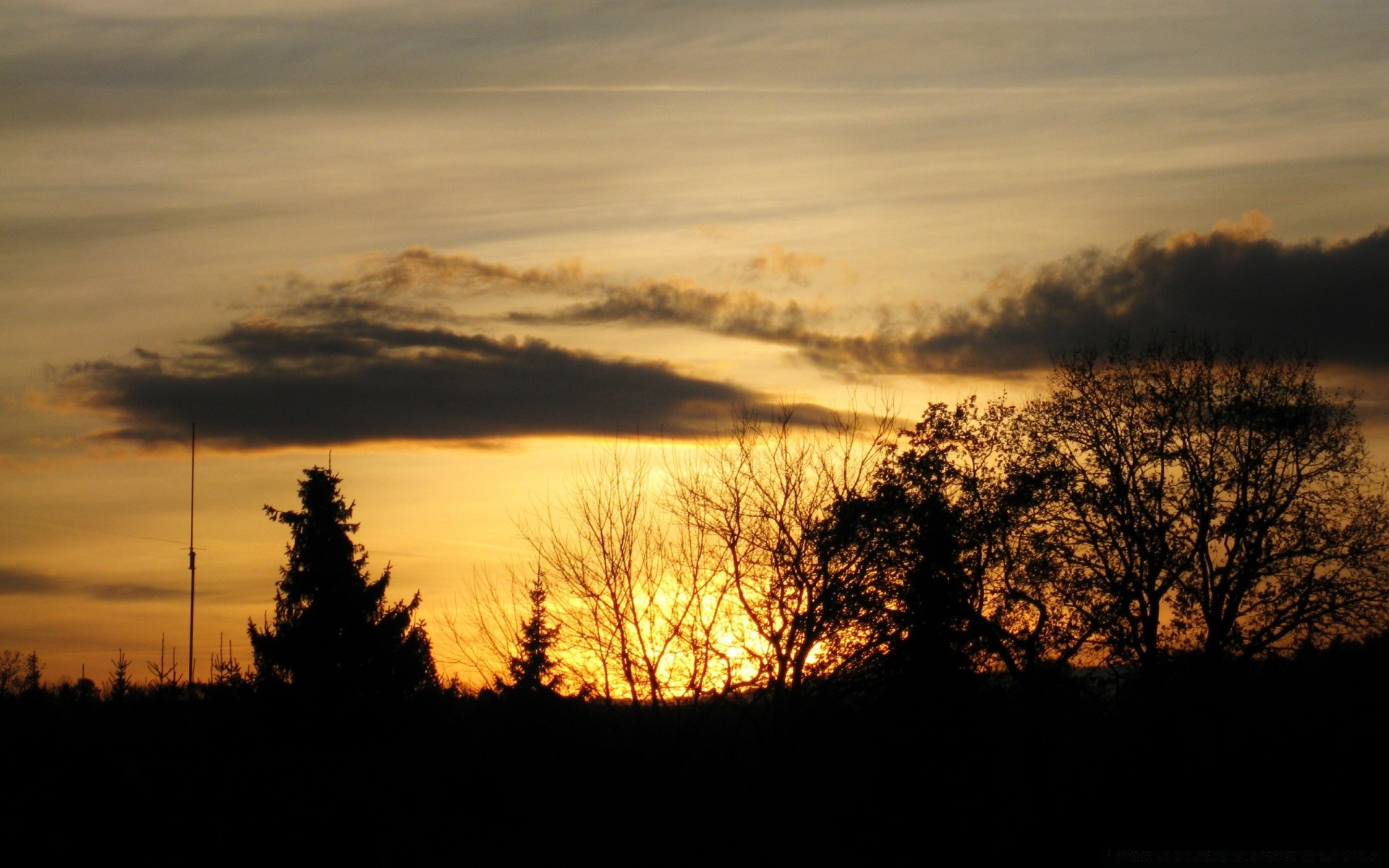 ciel coucher de soleil paysage arbre aube nature brouillard ciel automne soir soleil à l extérieur lumière brouillard crépuscule rétro-éclairé silhouette sombre