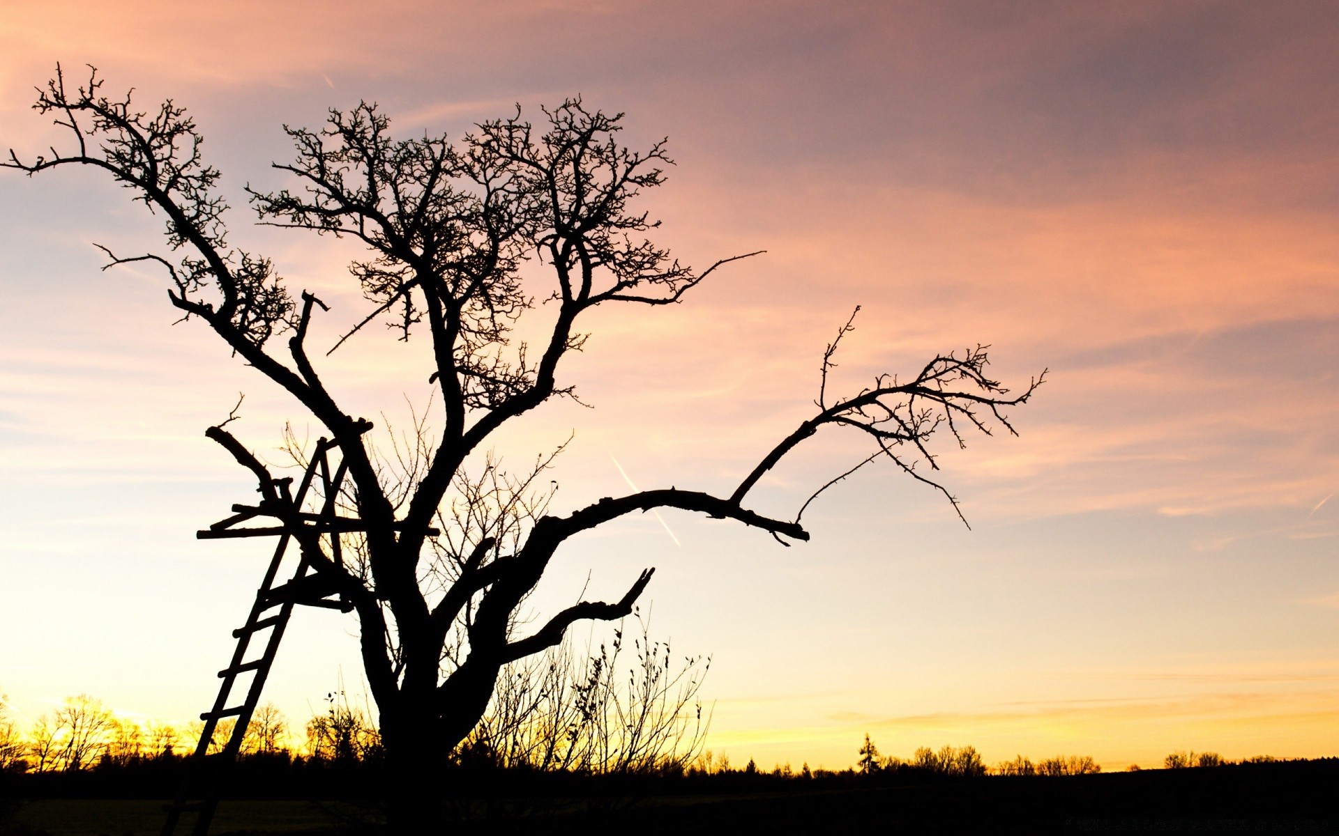 cielo albero paesaggio natura alba tramonto cielo silhouette legno illuminato sera sole all aperto autunno mercoledì crepuscolo