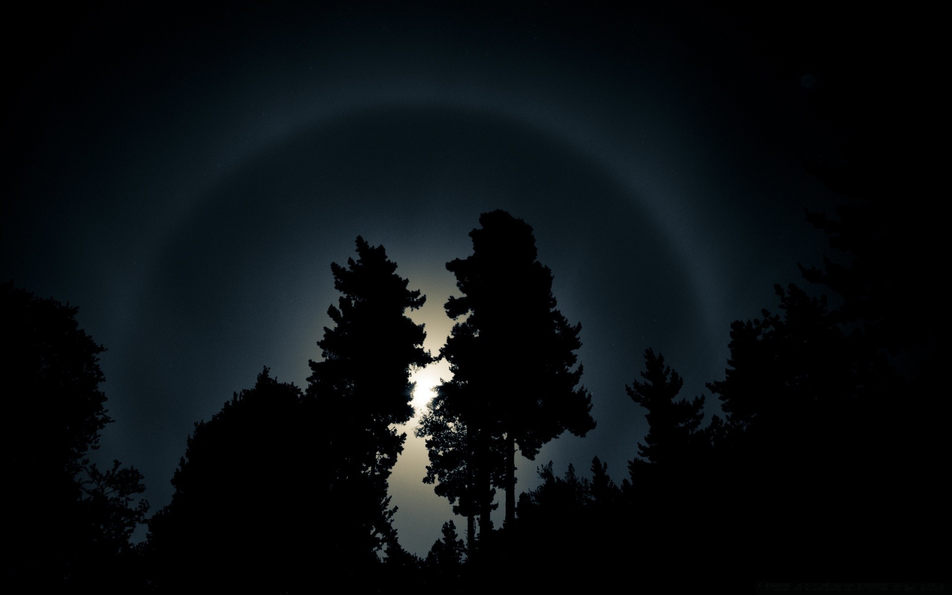 the sky moon sky sun landscape dark sunset fog nature astronomy silhouette dawn eclipse outdoors tree art mystery light evening