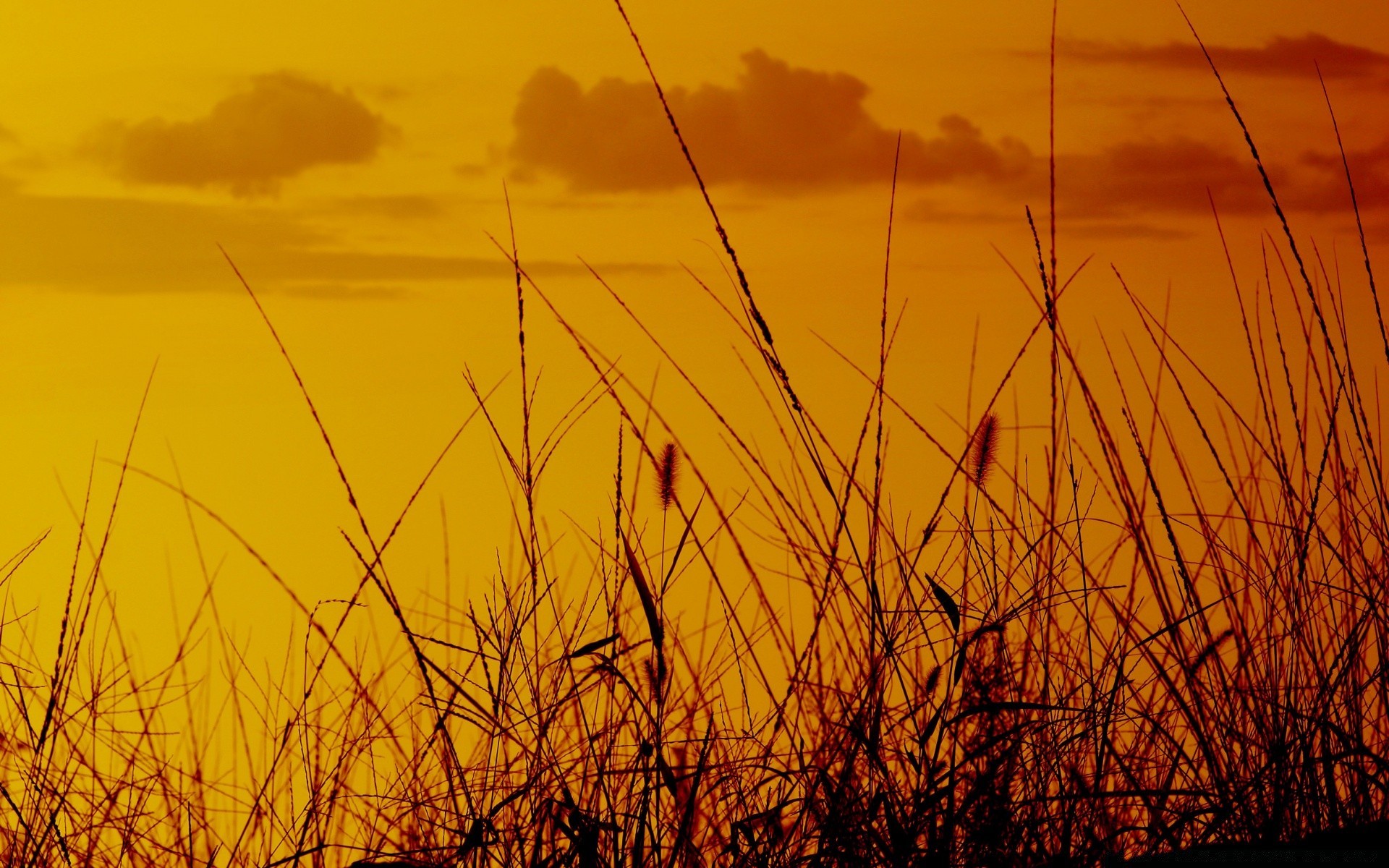 himmel sonnenuntergang dämmerung sonne feld natur gold landschaft himmel licht gutes wetter abend silhouette gras hintergrundbeleuchtung bauernhof dämmerung heuhaufen sommer farbe