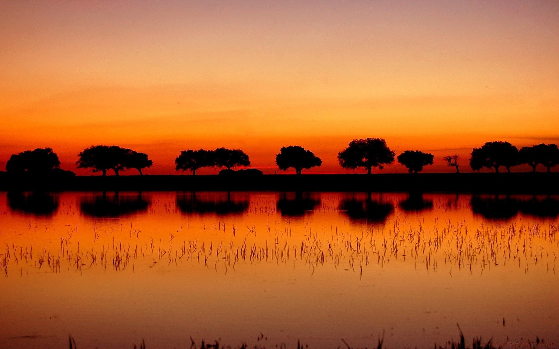 cielo puesta de sol amanecer sol agua reflexión crepúsculo naturaleza cielo noche silueta verano calma lago buen tiempo al aire libre brillante