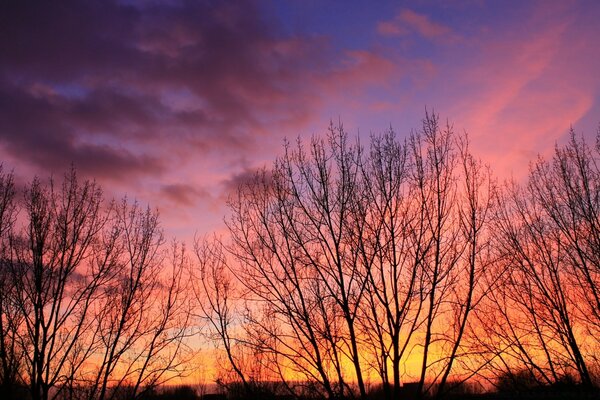 Amanecer caliente en el campo