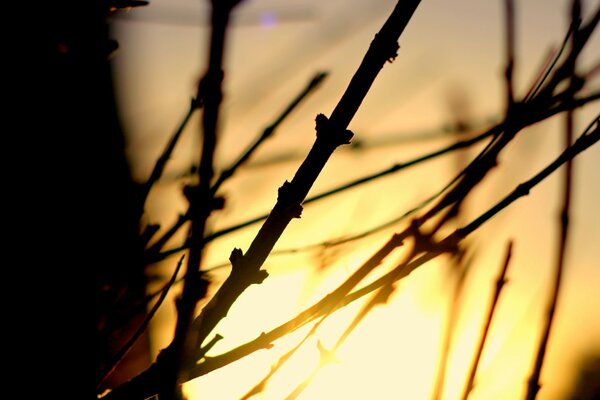 Luce nel cielo al tramonto e all alba