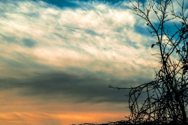 Paisagem da natureza. Céu Por do sol