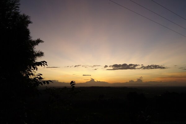 Tramonto e cielo scuro con ombra dall albero