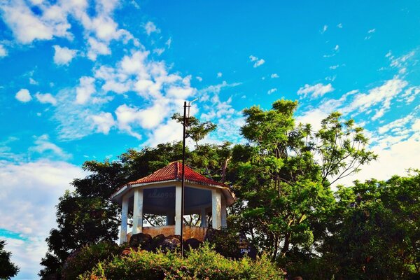 Gazebo on top of a hill with trees