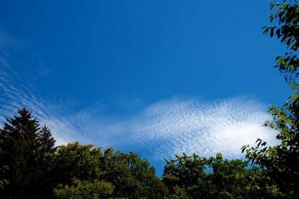 Grenzenloser blauer Himmel