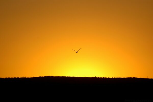 Silhouette am Himmel. Sonnenuntergang und Sonnenaufgang