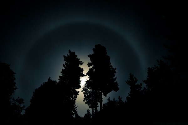 Eine Landschaft von ungewöhnlicher Schönheit mit einem Mond, der sich zwischen zwei Bäumen im Schatten versteckt