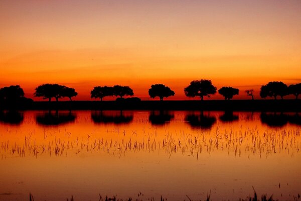 Bei Sonnenuntergang das Sonnenlicht des Wassers