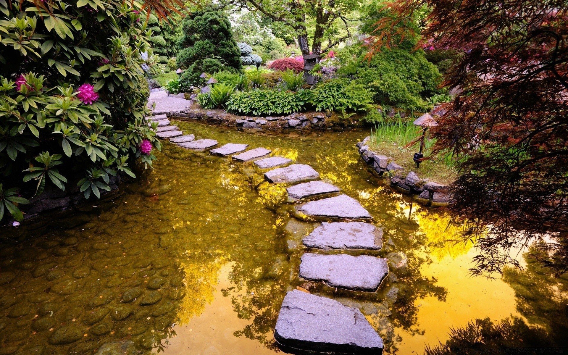 see wasser natur blatt holz holz park im freien reisen herbst fluss landschaft stein garten flora fluss saison landschaftlich