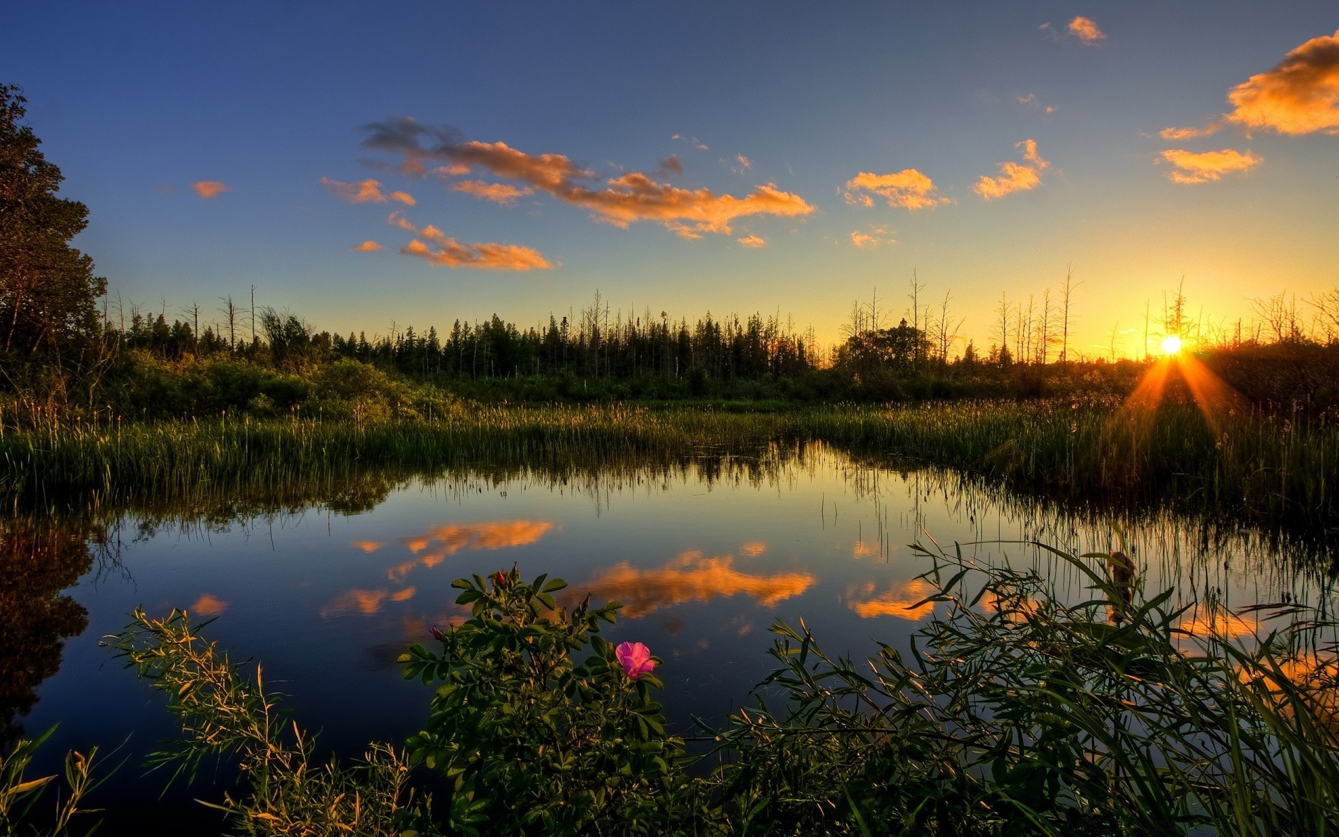 see reflexion dämmerung sonnenuntergang wasser natur landschaft herbst abend sonne im freien fluss himmel baum gutes wetter