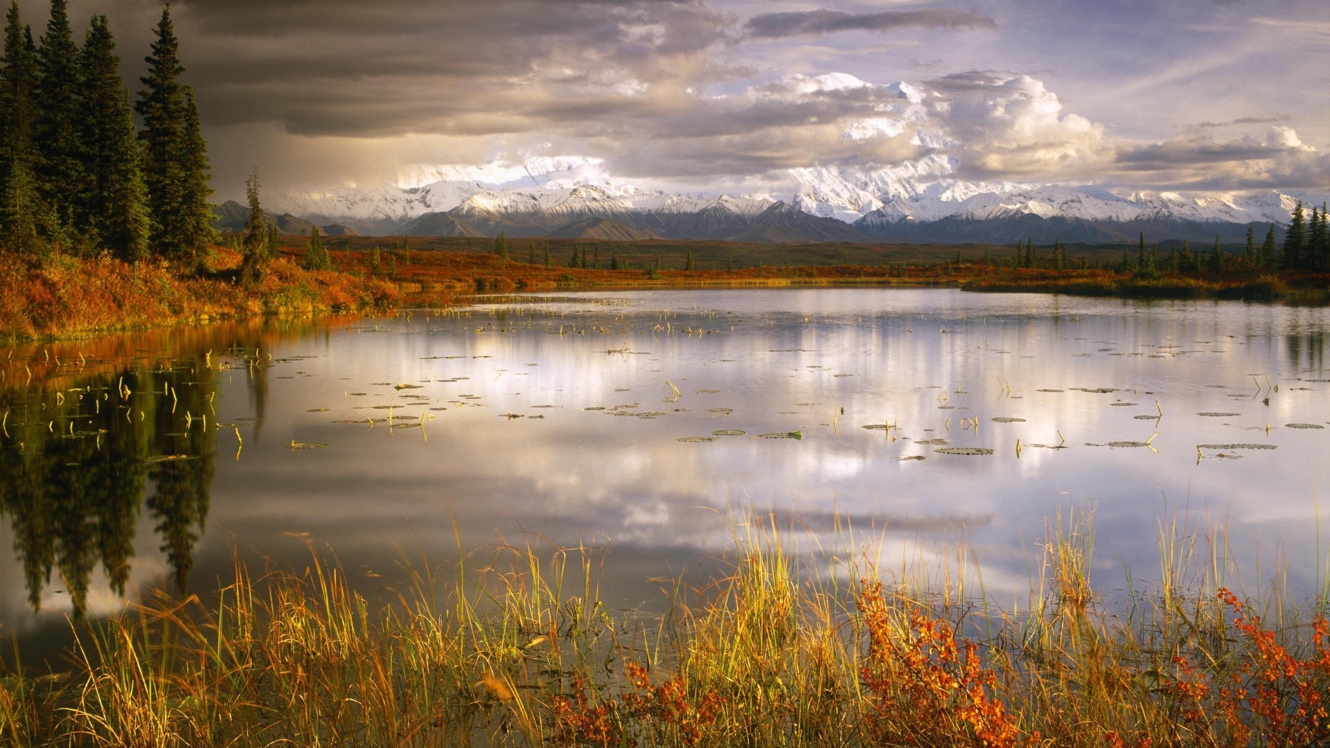 lake reflection water fall landscape nature river dawn sunset outdoors marsh sky tree pool bog wood scenic