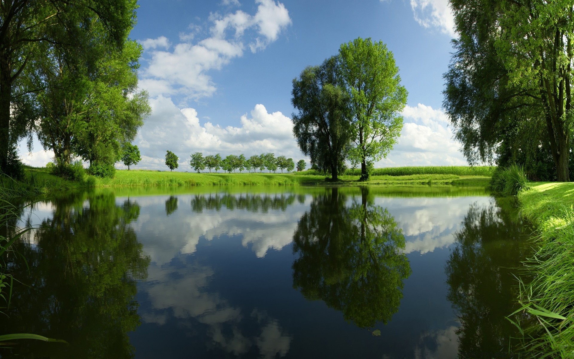 lake nature water tree reflection landscape summer wood outdoors pool river leaf grass environment fair weather park dawn idyllic sky