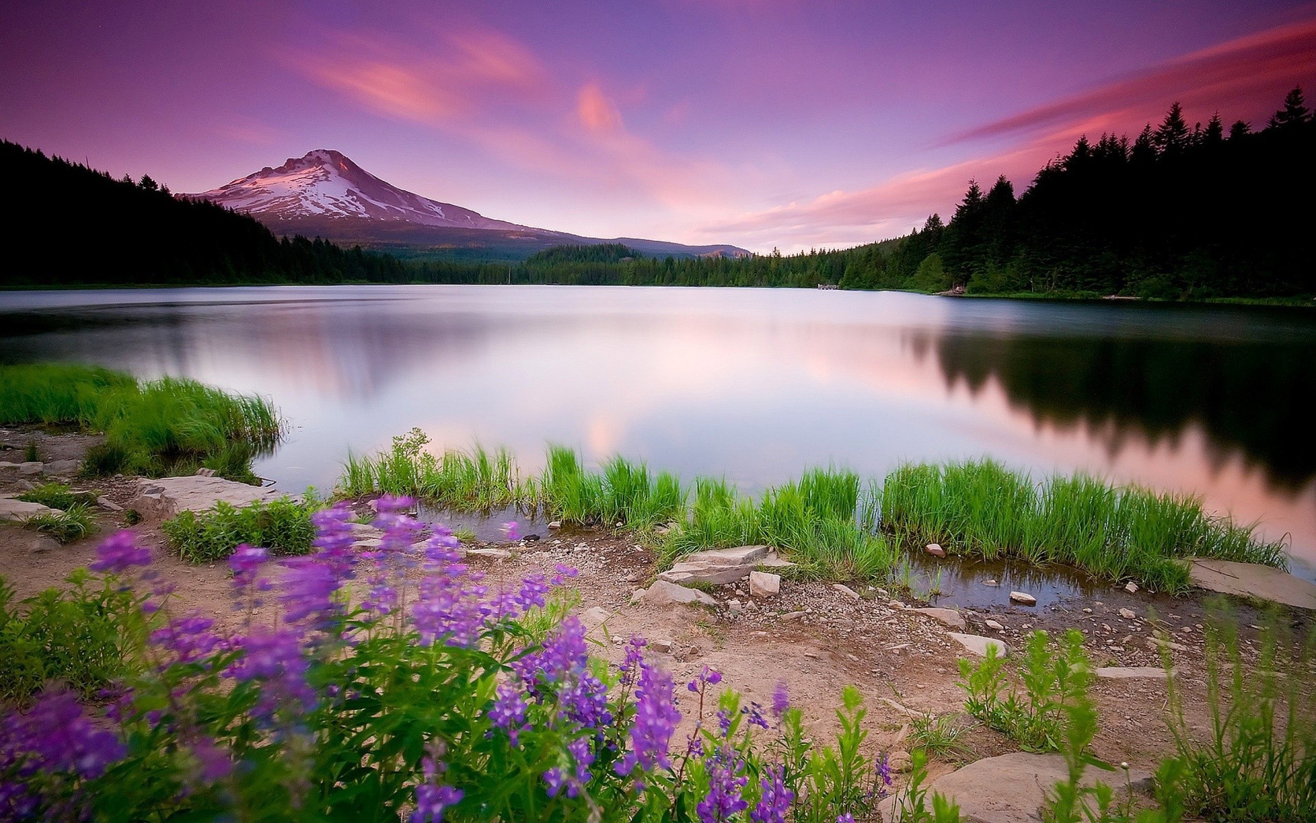 lake water nature outdoors landscape travel sky sunset dawn summer river grass reflection scenic