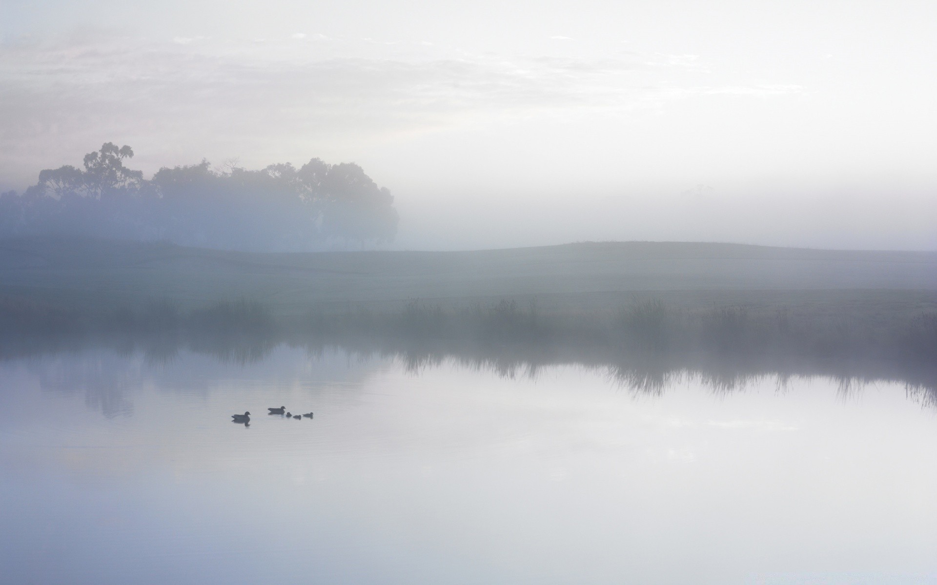 lac brouillard brouillard paysage eau ciel nature aube fumée à l extérieur voyage