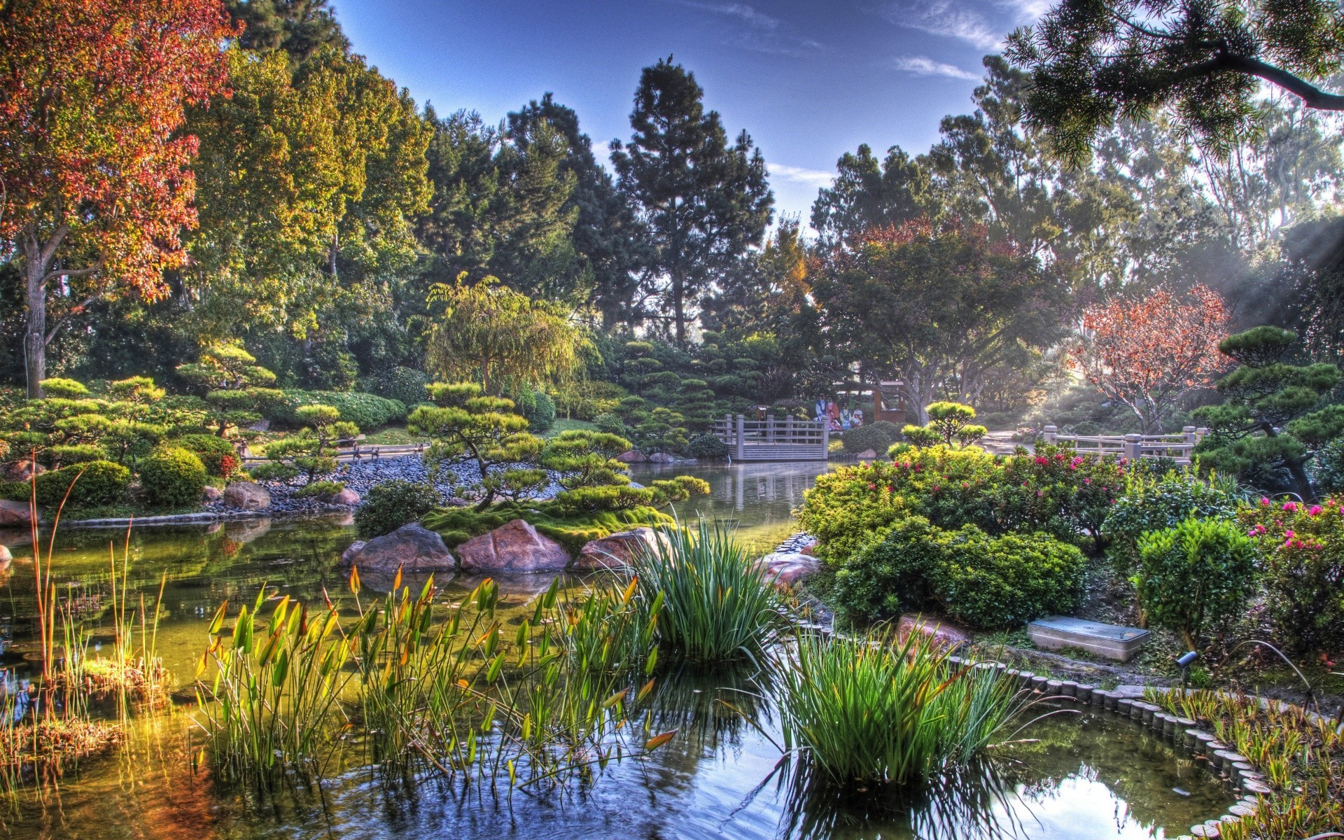 lago água natureza árvore piscina folha outono parque jardim rio reflexão paisagem ao ar livre madeira verão viagem temporada cênica bonita