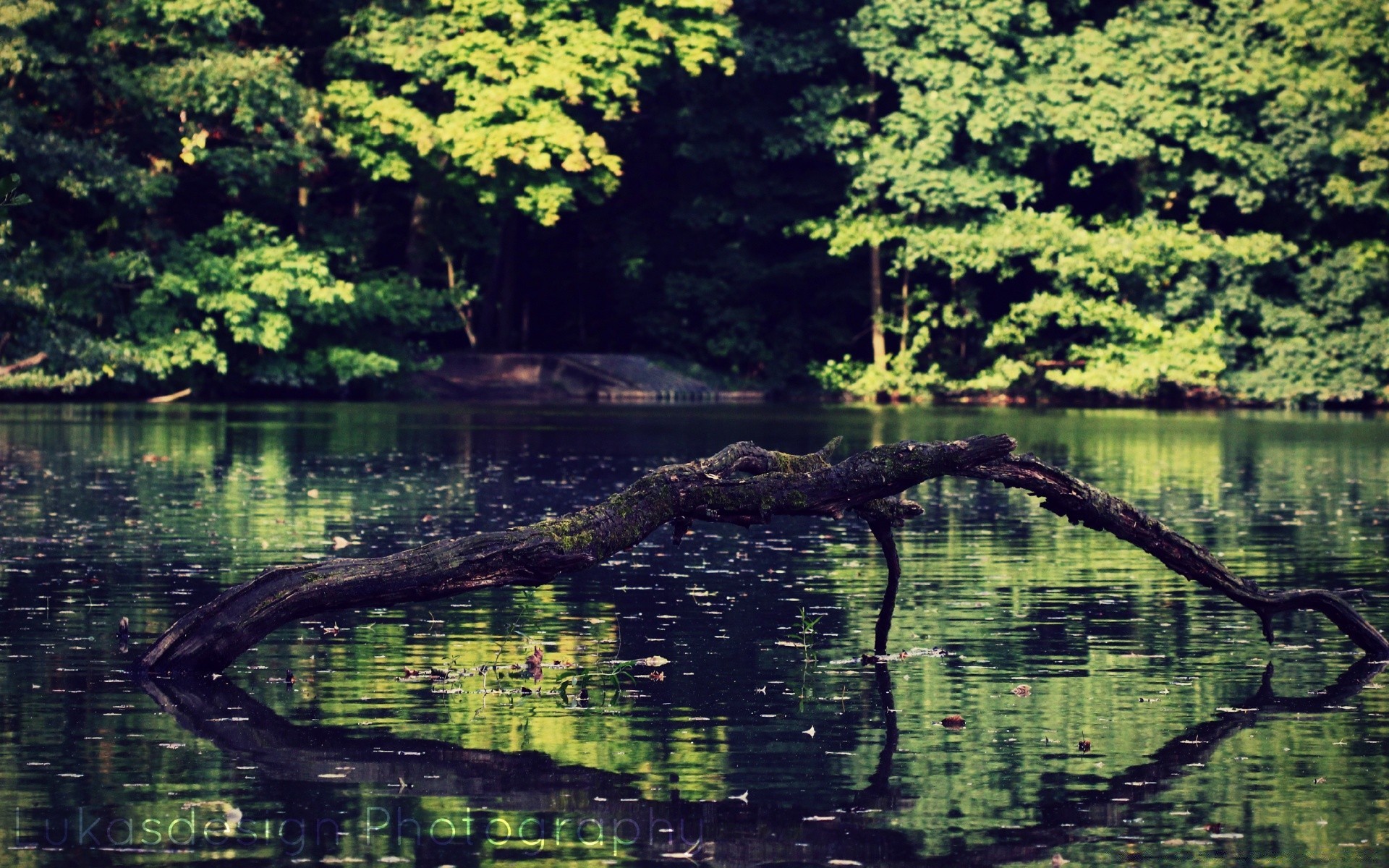 jezioro woda natura odbicie rzeka drewno na zewnątrz krajobraz drzewo basen podróże lato liść sceniczny