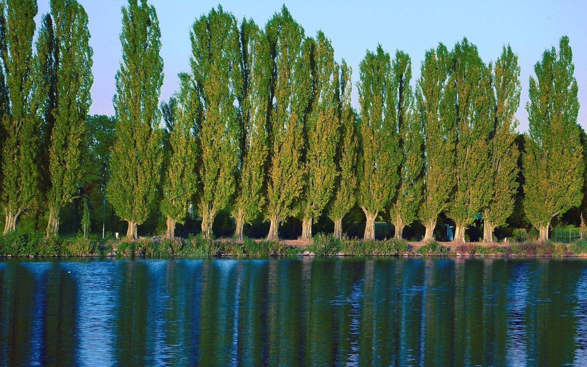 lago árbol naturaleza agua al aire libre paisaje madera medio ambiente río verano flora reflexión cielo hoja parque escénico temporada luz del día color