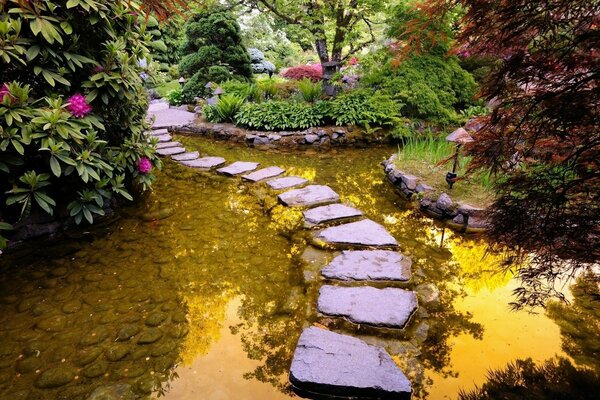 Die Brücke über das Wasser ist die Schönheit der Natur