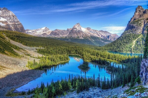 The blue sky is reflected in a small lake