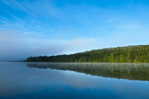 Reflexion im Wasser. Reine Natur