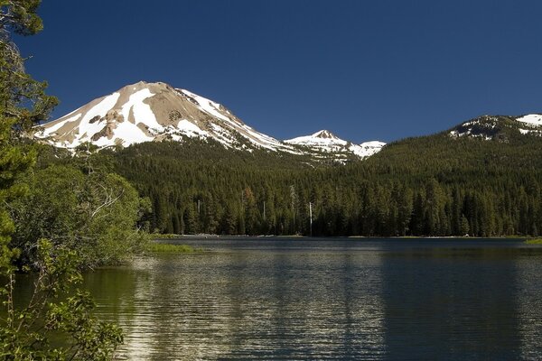 Lake on the background of summer and mountains