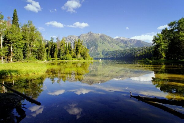 Desktop screensaver of trees reflected in the lake