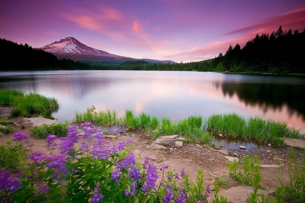 Paysage de lac sur fond de montagne