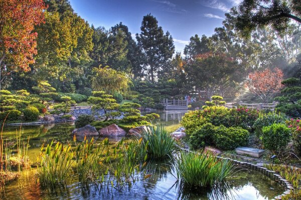 Incredibly beautiful summer landscape