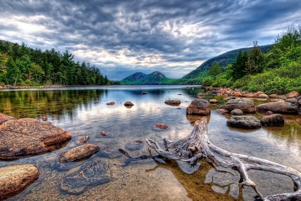 Clean water in a pond in the forest