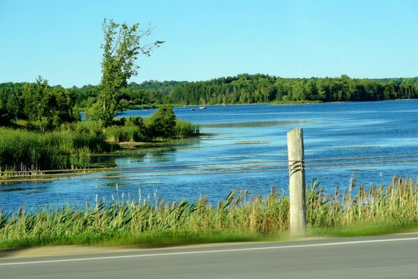 An image of a lake near the road