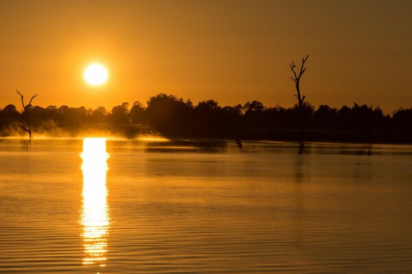 Evening landscape in orange tones