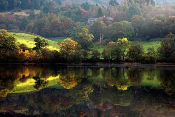 Reflexion der Bäume im See im Hintergrund