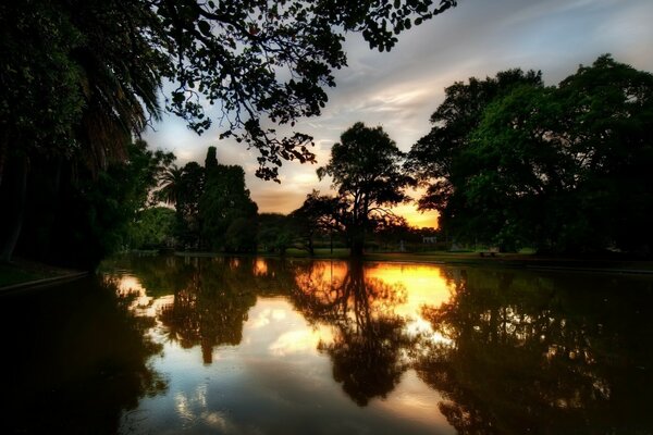 Screensaver for computer trees at sunset