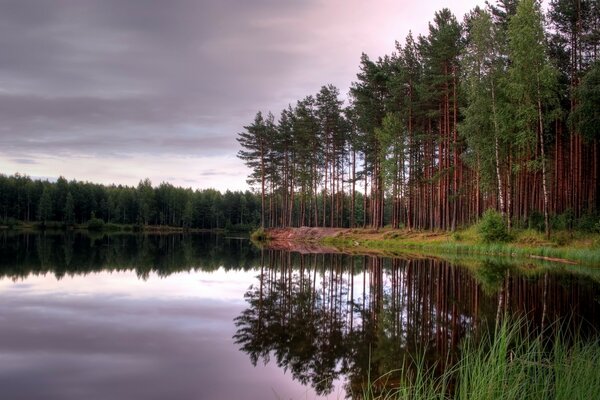 The forest is reflected in the clear water of the lake