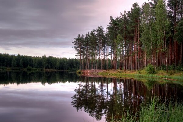 El bosque se refleja en el agua clara del lago