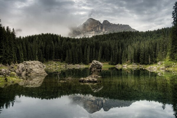 Dia sombrio no lago da floresta