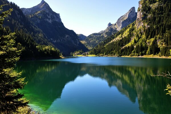 Viaggio lungo il fiume tra i boschi