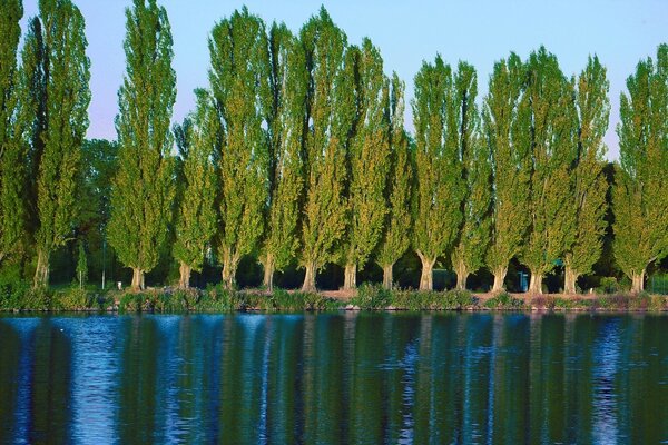 Clear crystal water and green forest on the horizon