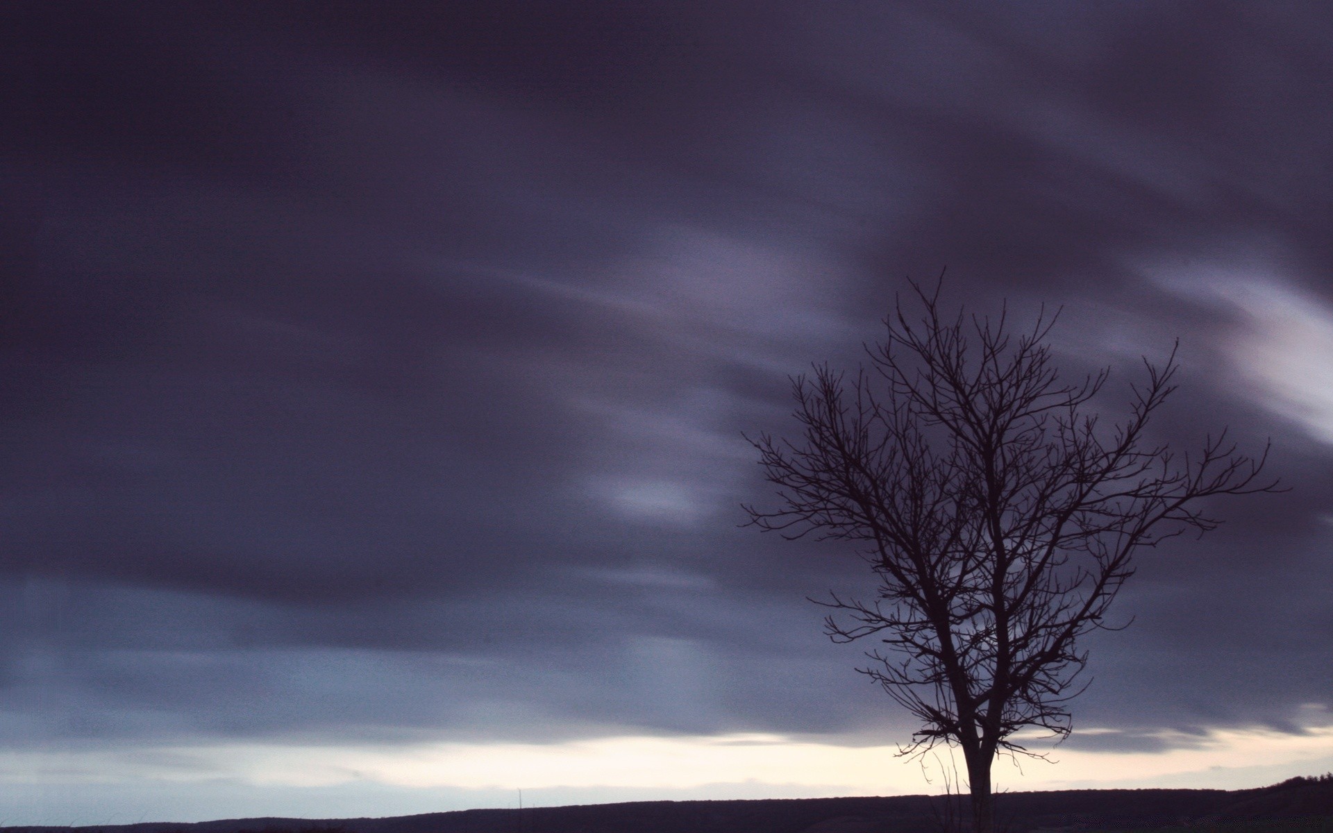 cielo tramonto sole paesaggio alba natura cielo silhouette sera albero nebbia illuminato tempesta scuro luce