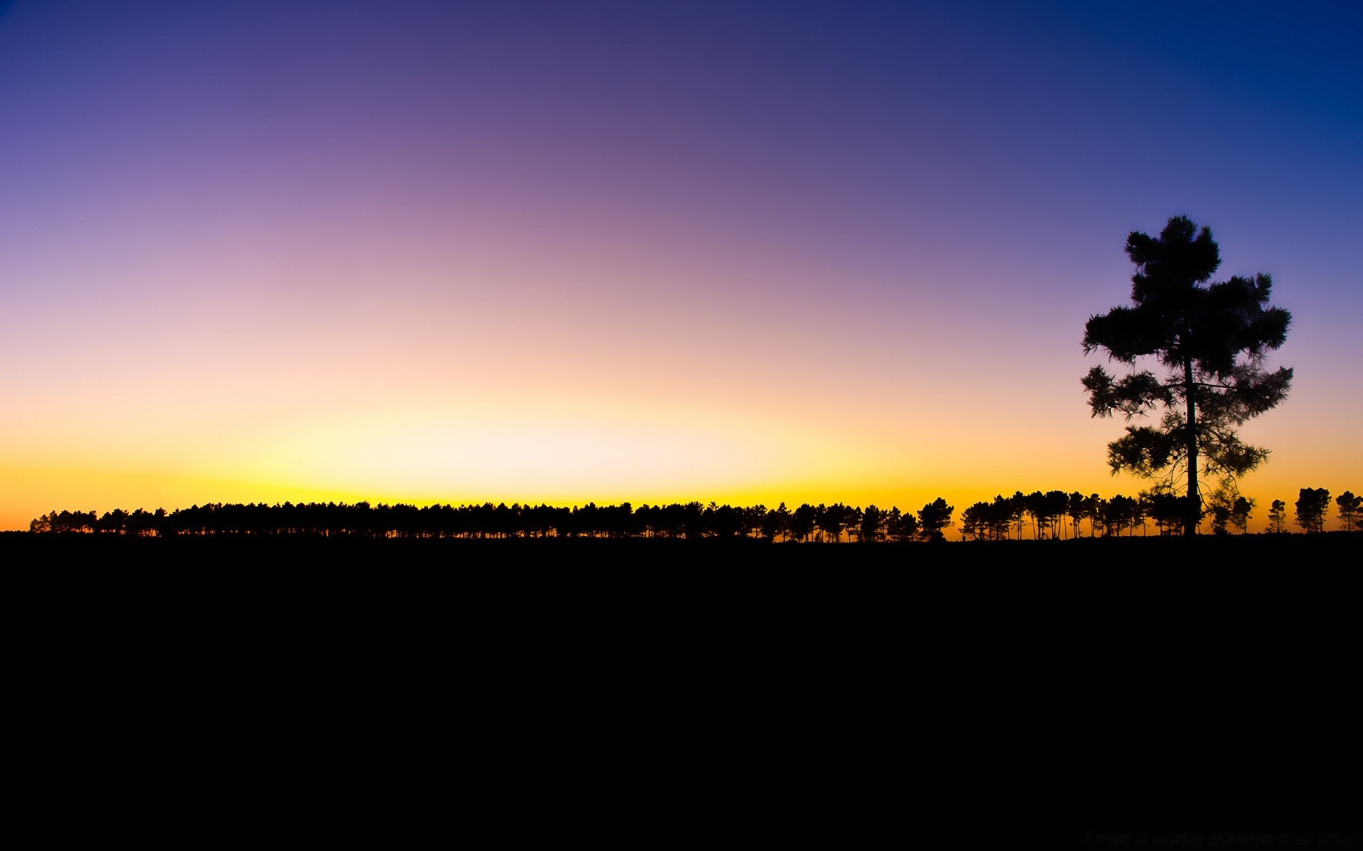 cielo tramonto alba paesaggio sole cielo silhouette natura sera crepuscolo luce albero illuminato colore nebbia bel tempo orizzonte