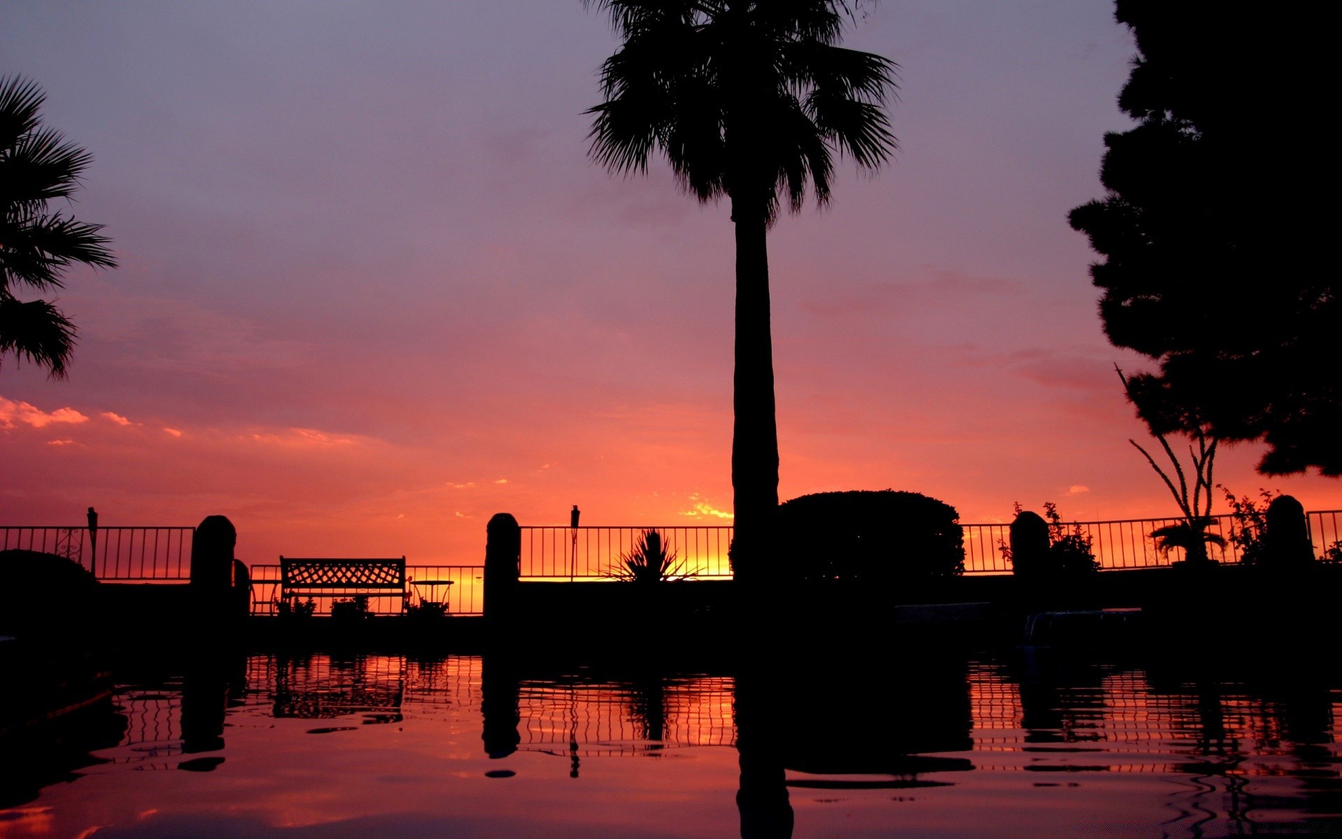 cielo acqua tramonto spiaggia crepuscolo sera alba viaggi mare oceano albero riflessione sagoma cielo