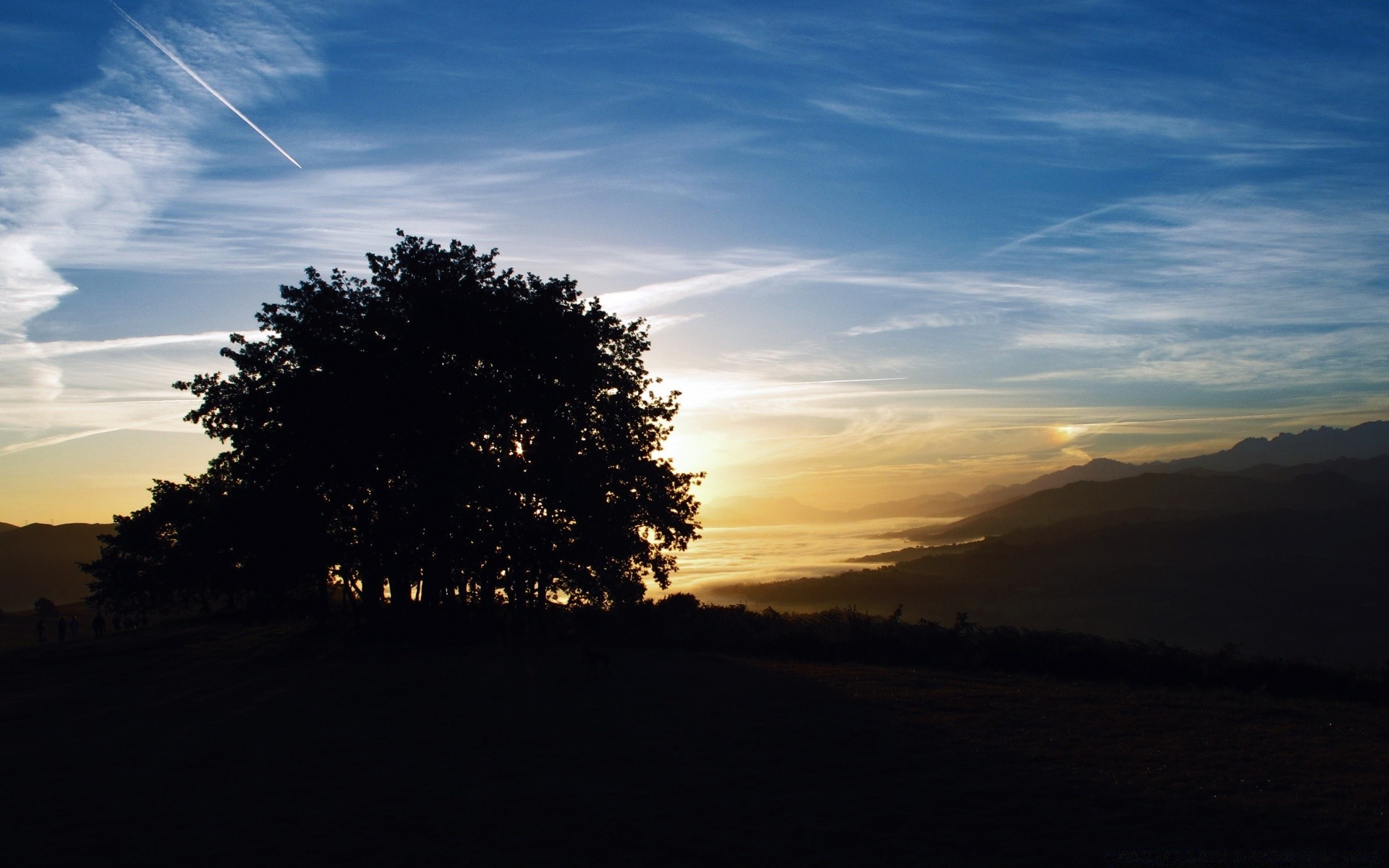 the sky sunset dawn landscape sun evening sky tree nature dusk light backlit fair weather fog outdoors moon